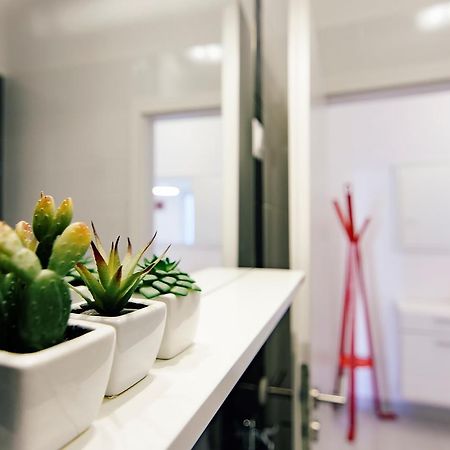 Fifi Apartment W. Parking In Old Town Zadar Exteriér fotografie